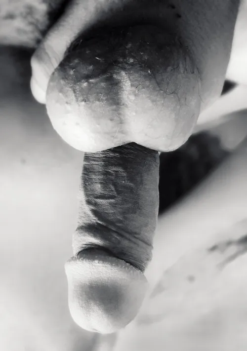 Up or down? Or both? by Fedesh089