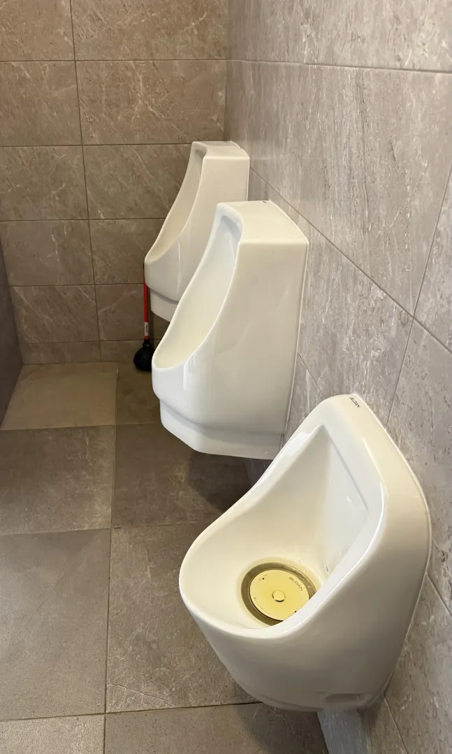 Urinals at my university, next to three large lecture halls. posted by Tight-Island-772