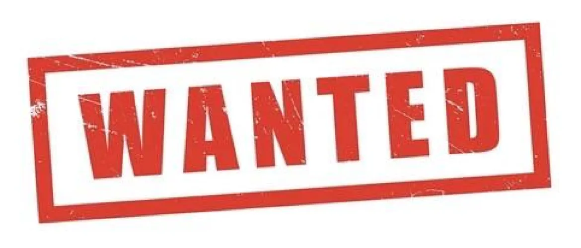 U.S. N+ Standard & 3 Standard - Cobra by Own_Weird8572