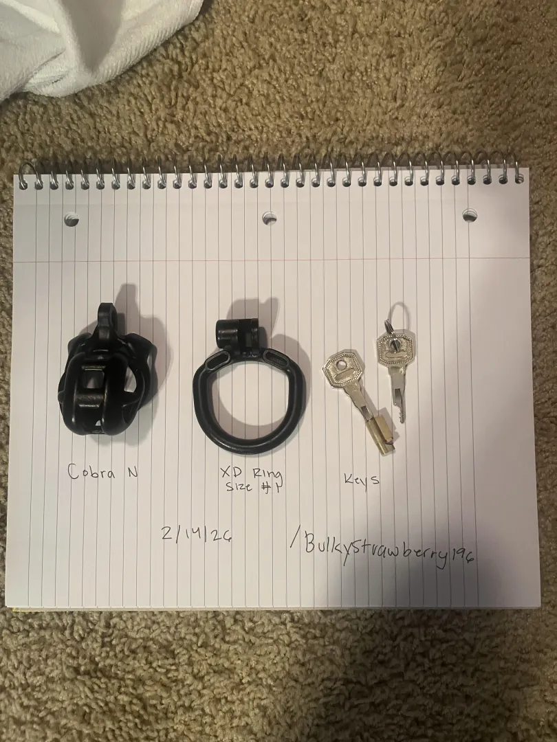 [US] [Sell] Cobra N + XD Ring size 1 posted by BulkyStrawberry196