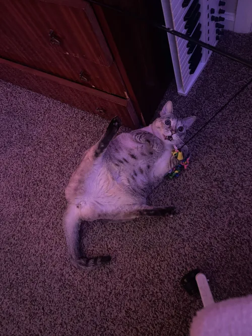 using her favorite toy [F] by eliseswl