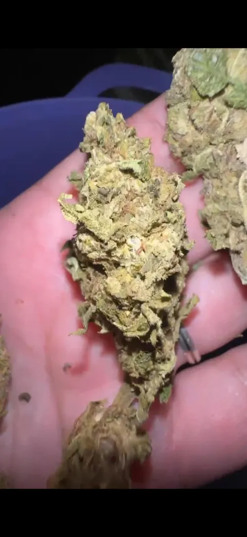 Vale apena? by Affectionate_Two1748