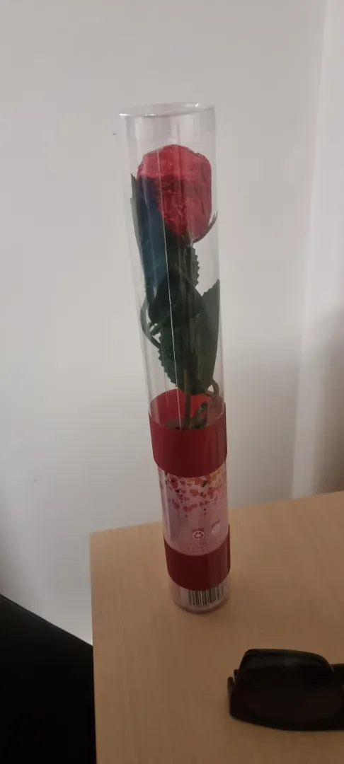 Valentine celebration with CCK auckland posted by No_Spite2985