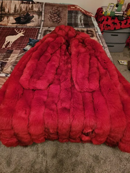 Valentines day gift for my beautiful wife by furlover52