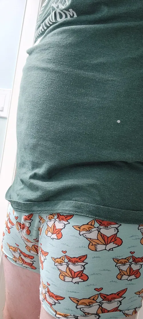 Valentines foxes :) by Silly_Inspector53