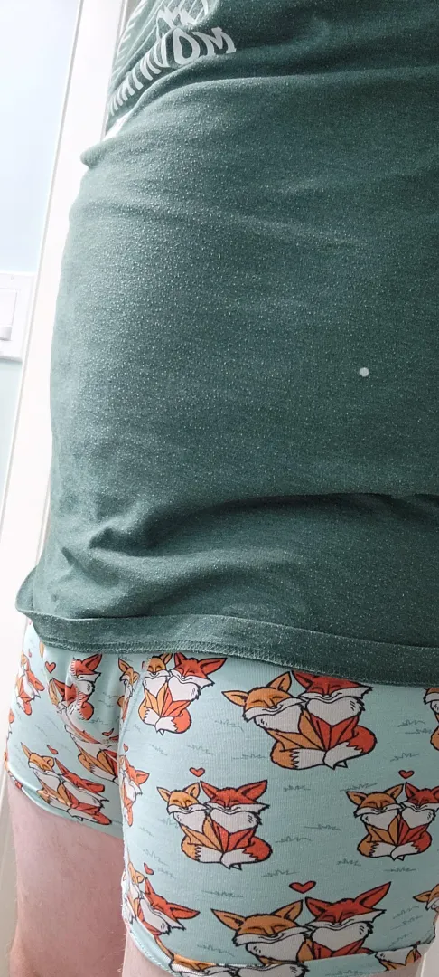 Valentines foxes :) posted by Silly_Inspector53