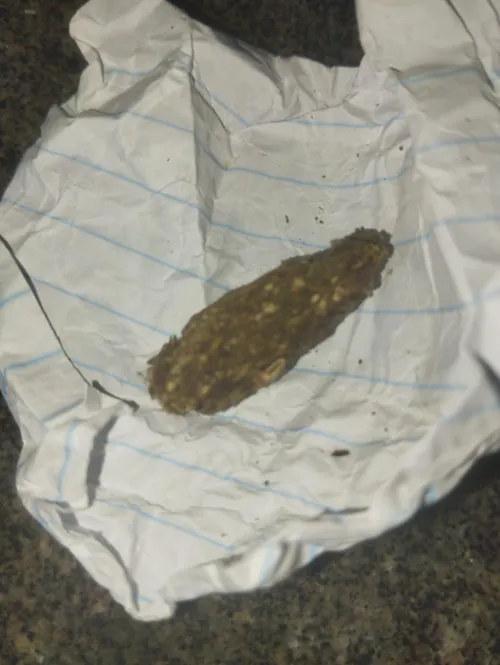 Vcs fumam prensado? by SobreviventeAnonimo