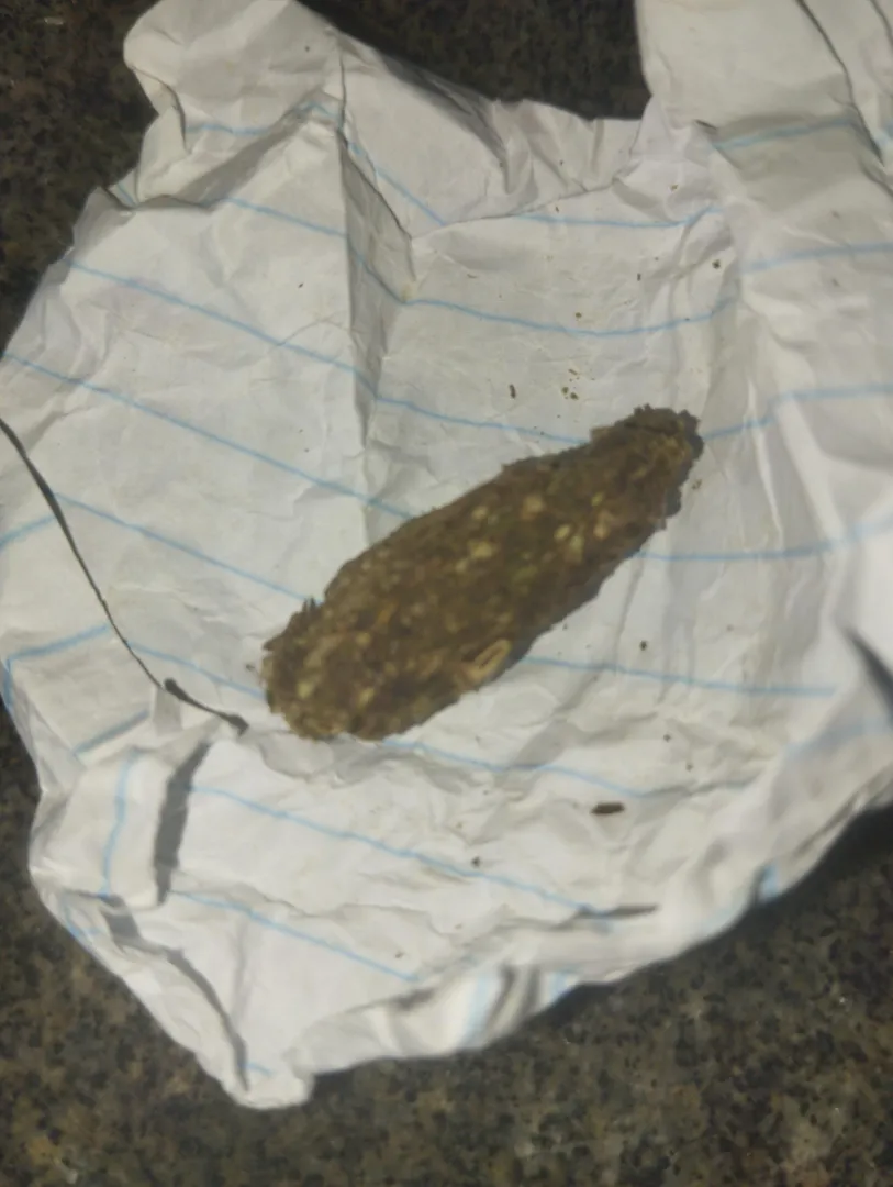 Vcs fumam prensado? posted by SobreviventeAnonimo