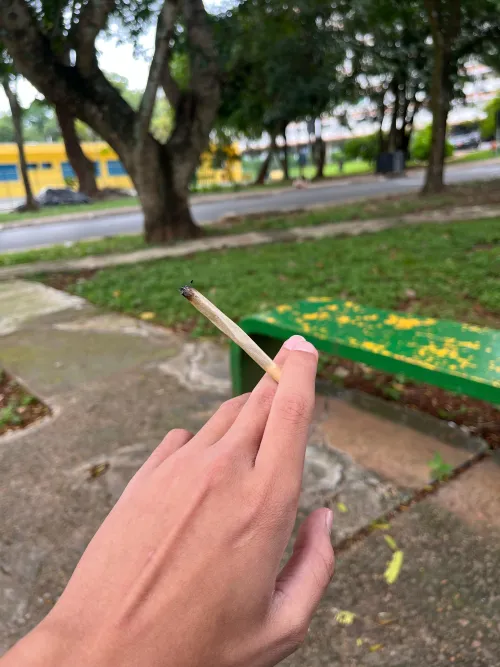 vcs geralmente fumam o que? by jacob_liam6000