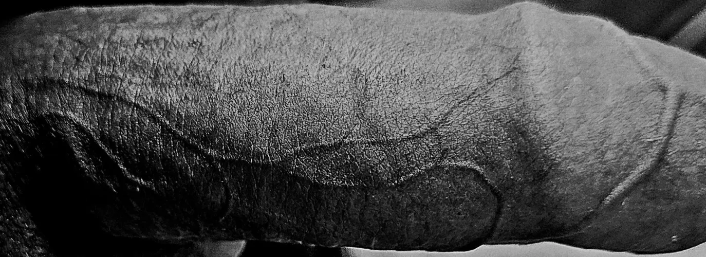 veins by solidesding