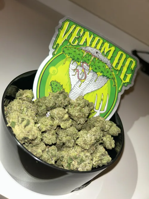 Venom OG By: Cali Kush  by Comfortable_Touch_99