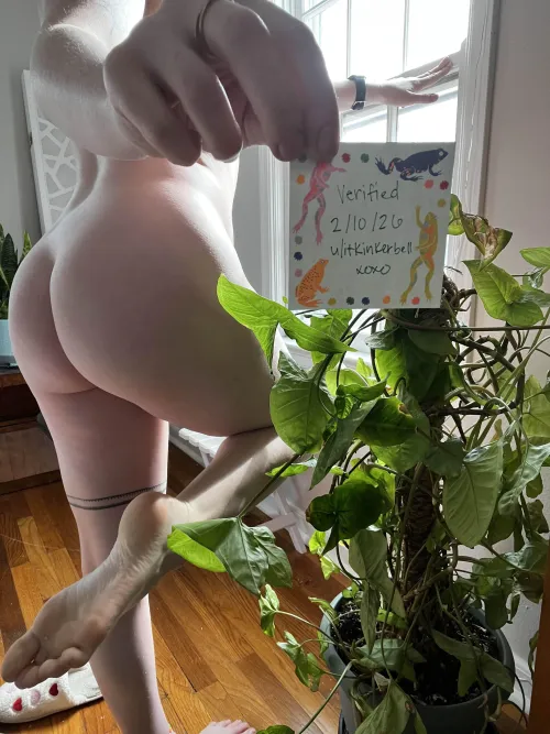 Verification Post by itskinkerbell