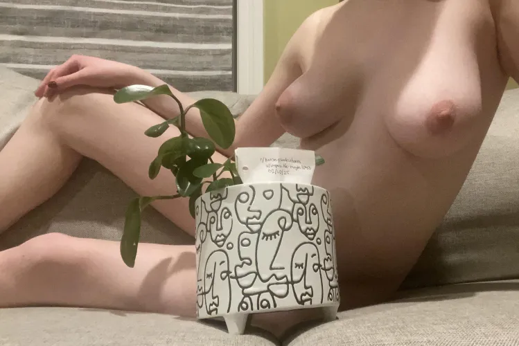 Verification post by Impossible-Maybe3793