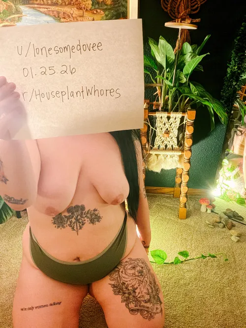 Verification post (my aglaonema says hi) by lonesomedovee