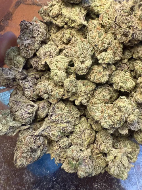 Veritas flower by Botanicalduke