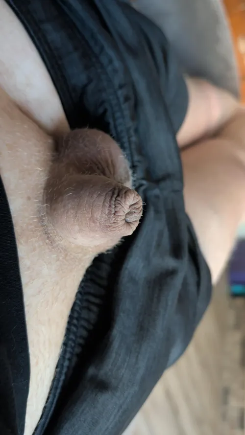 Very cute and getting hairy. by Nebula0002