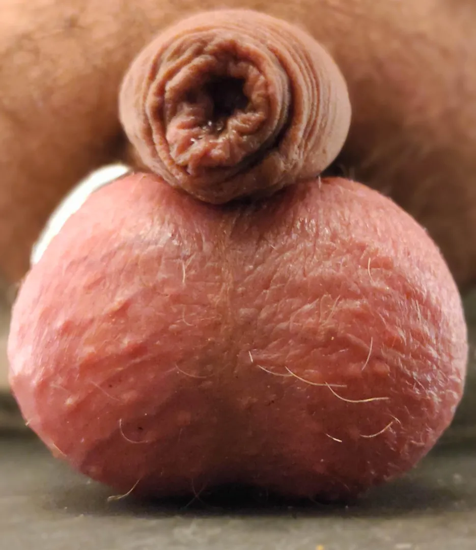 Viens voir de prêt ! posted by Hairy_Stuff_1167