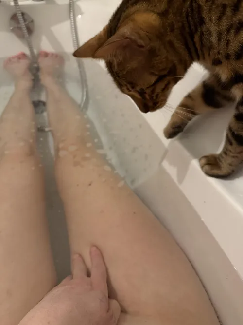 Vous le trouvez mignon ? by Timely-Top5991