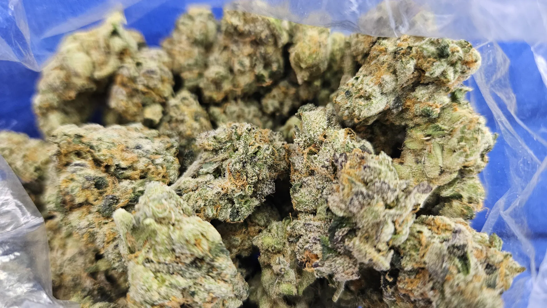 Wake n bake posted by philmoorebuttz