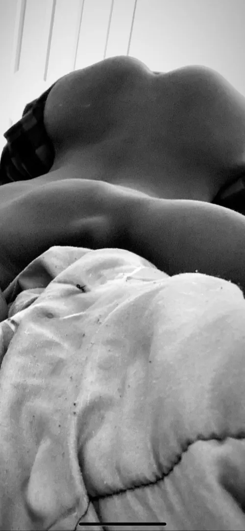 Wallpaper material? by ElkCareless