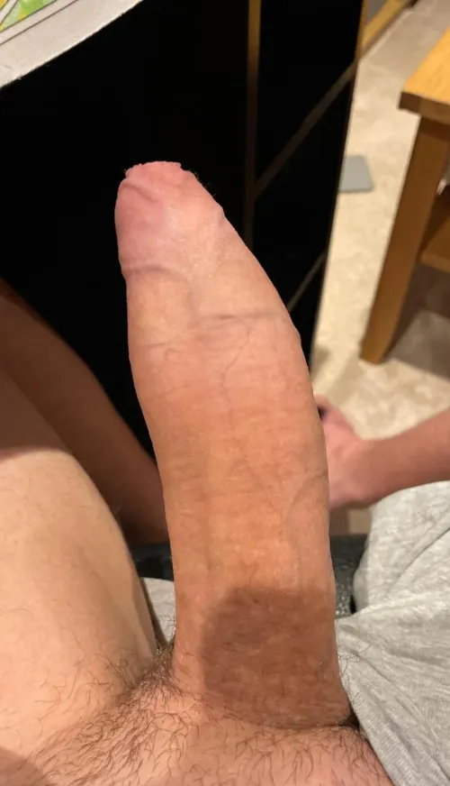 Wanna also find out how it feels? by No-Acanthisitta6819