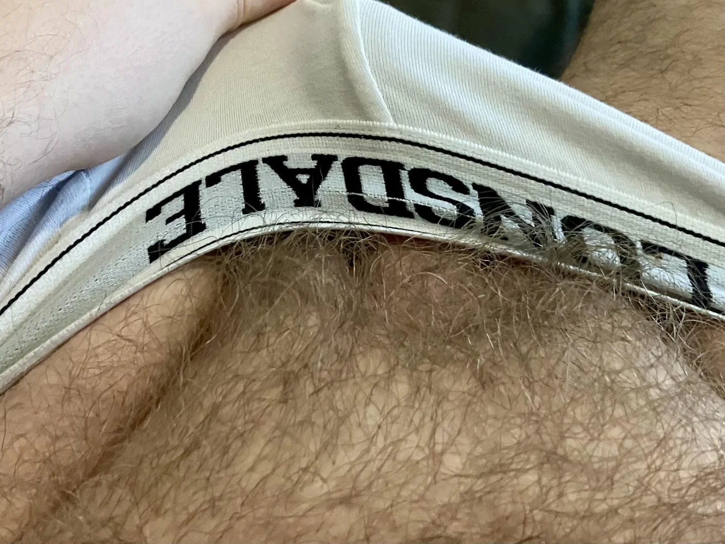 Wanna explore my bush?  posted by Stinkybearskin