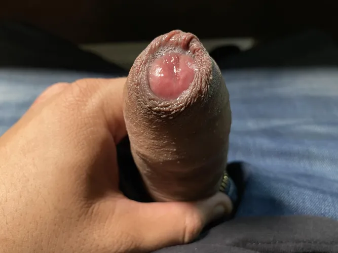 Wanna lick some pre-cum from uncut desi cock?? by Big_BrownMan