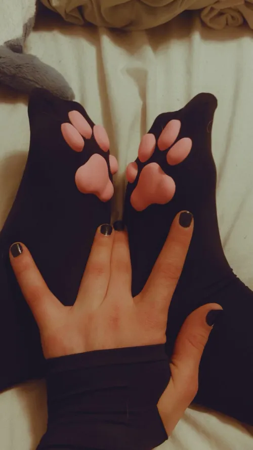 Wanna play with my little paws? by SillyPuddlePrincess