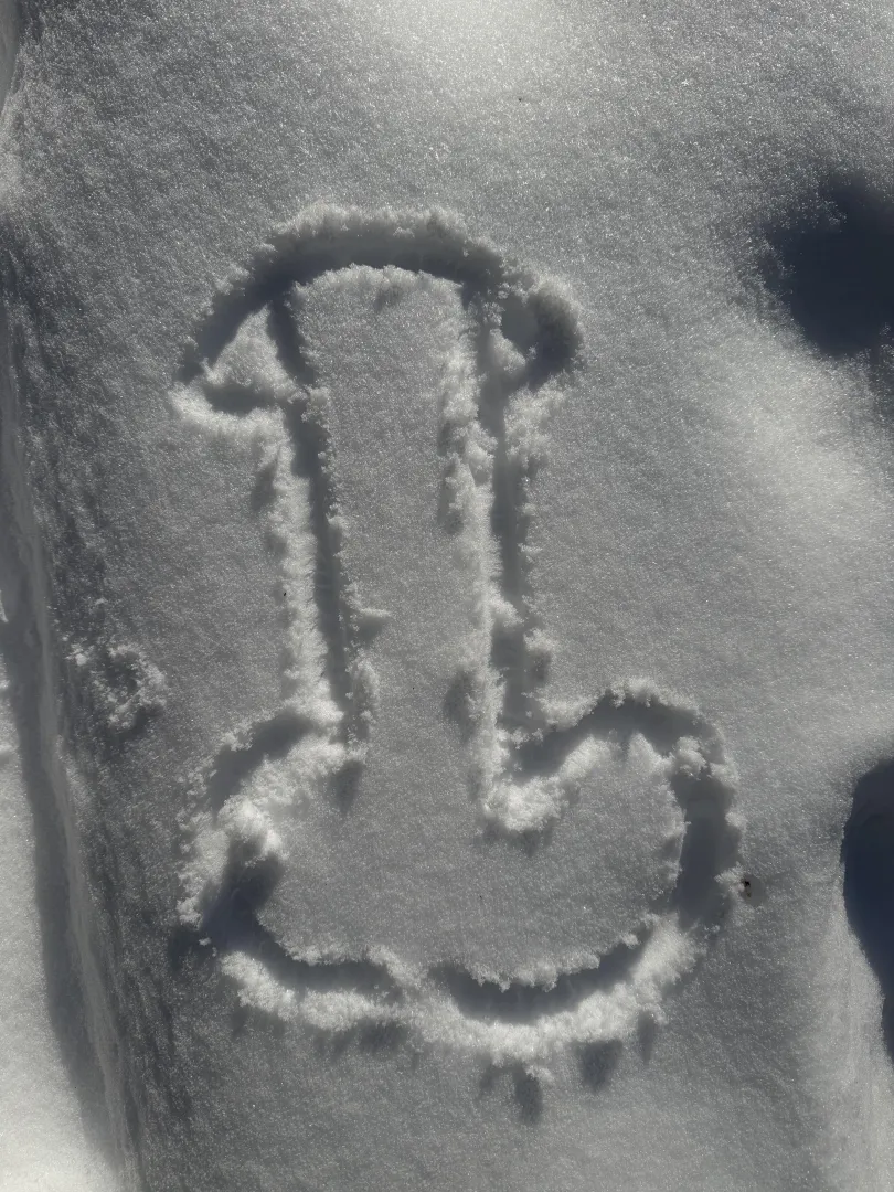 Want to build a Snowman? Your husband can watch. posted by thebeekeeper1981