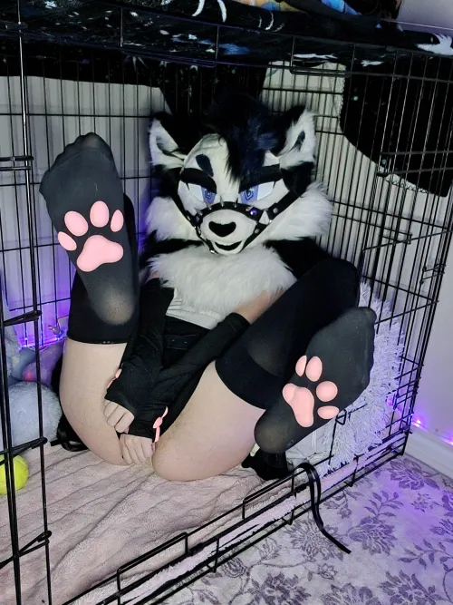 Want to see whats underneath? (He/him) by AsheyPup_AD