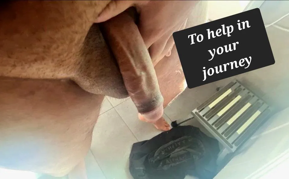 Wanting an adventure but some say it's dangerous to go alone you should take this posted by TallBumblebee6671