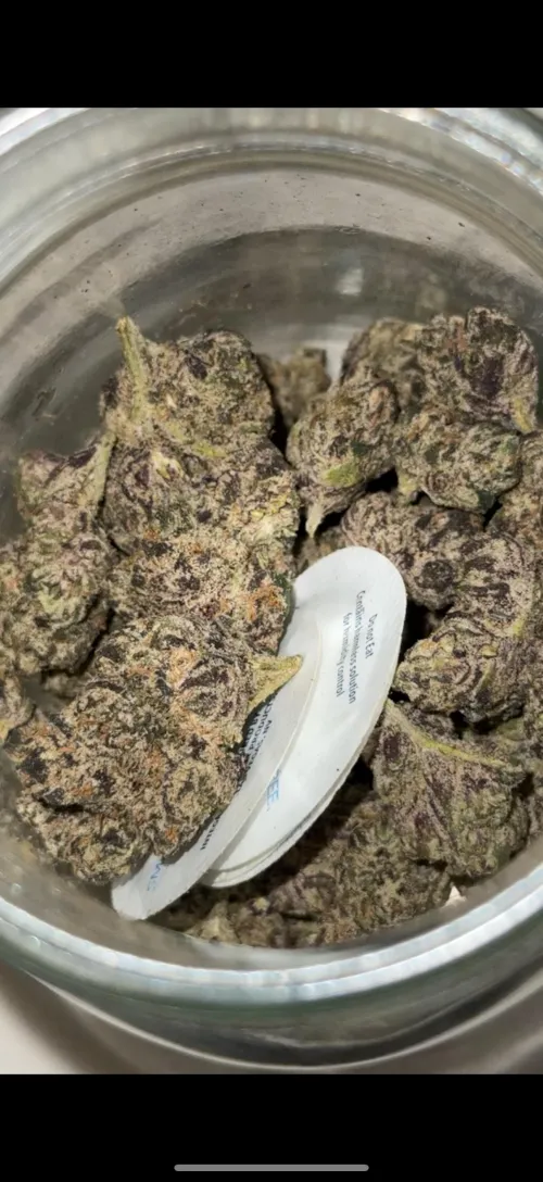 WAR - Jawbreakerz by realchildhoodobesity