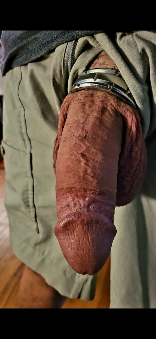 Warm & fat. by Useful_Letterhead259