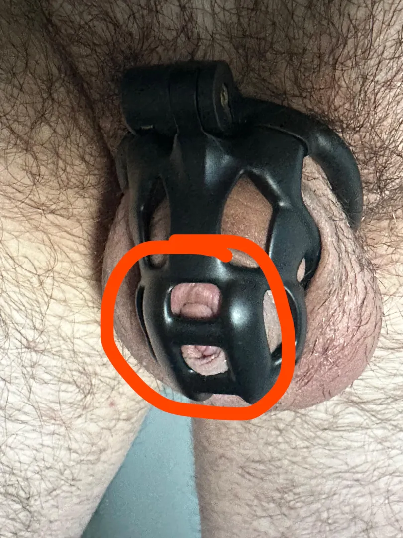 Warum passiert das? posted by Seph__87