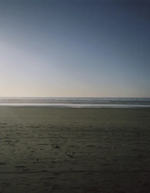 Was such a nice peaceful day by BodybuilderSad5247