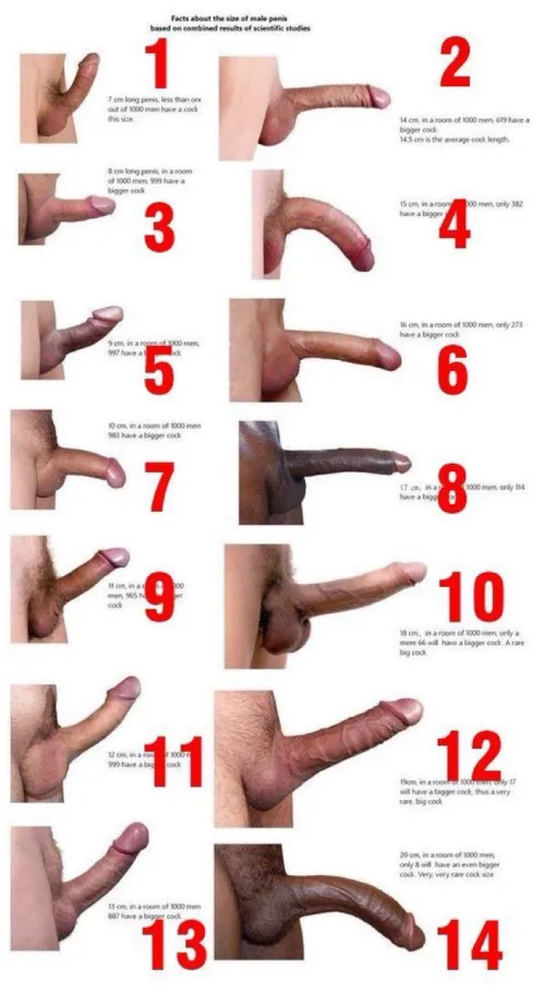 Was sucking last night. Drank wayyy too much lol. Woke up this morning with my ass sore and my dildo on the ground. Now im curious what’s the shape of you all by Entire-Strength-4627