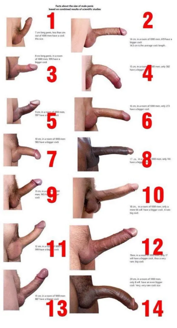 Was sucking last night. Drank wayyy too much lol. Woke up this morning with my ass sore and my dildo on the ground. Now im curious what’s the shape of you all posted by Entire-Strength-4627