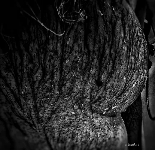 Water dropplets by AsTheCrowFlies72