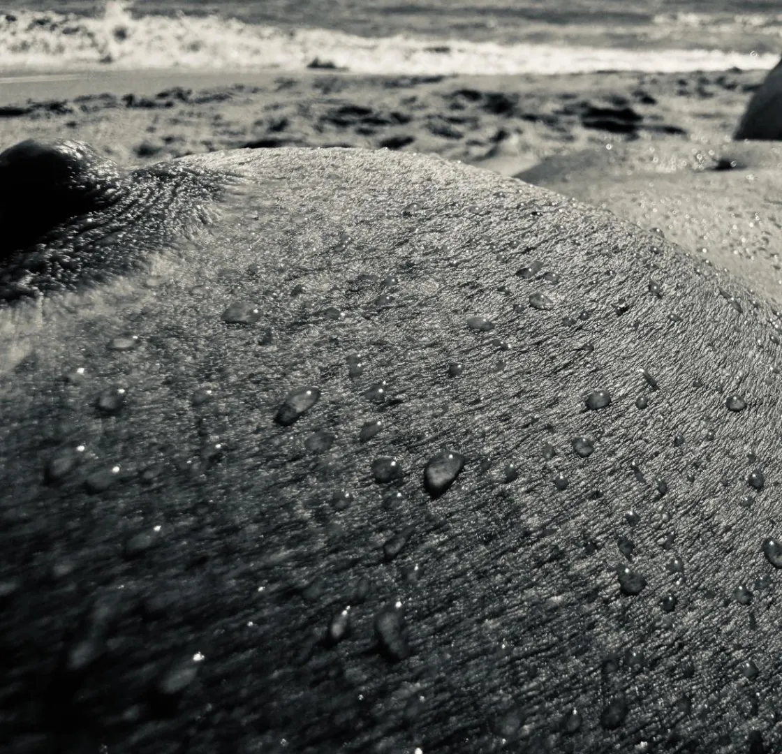 Water drops posted by SunbunneeJucee