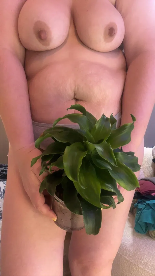 Watering day rearrange  posted by Defiant-Smile1938