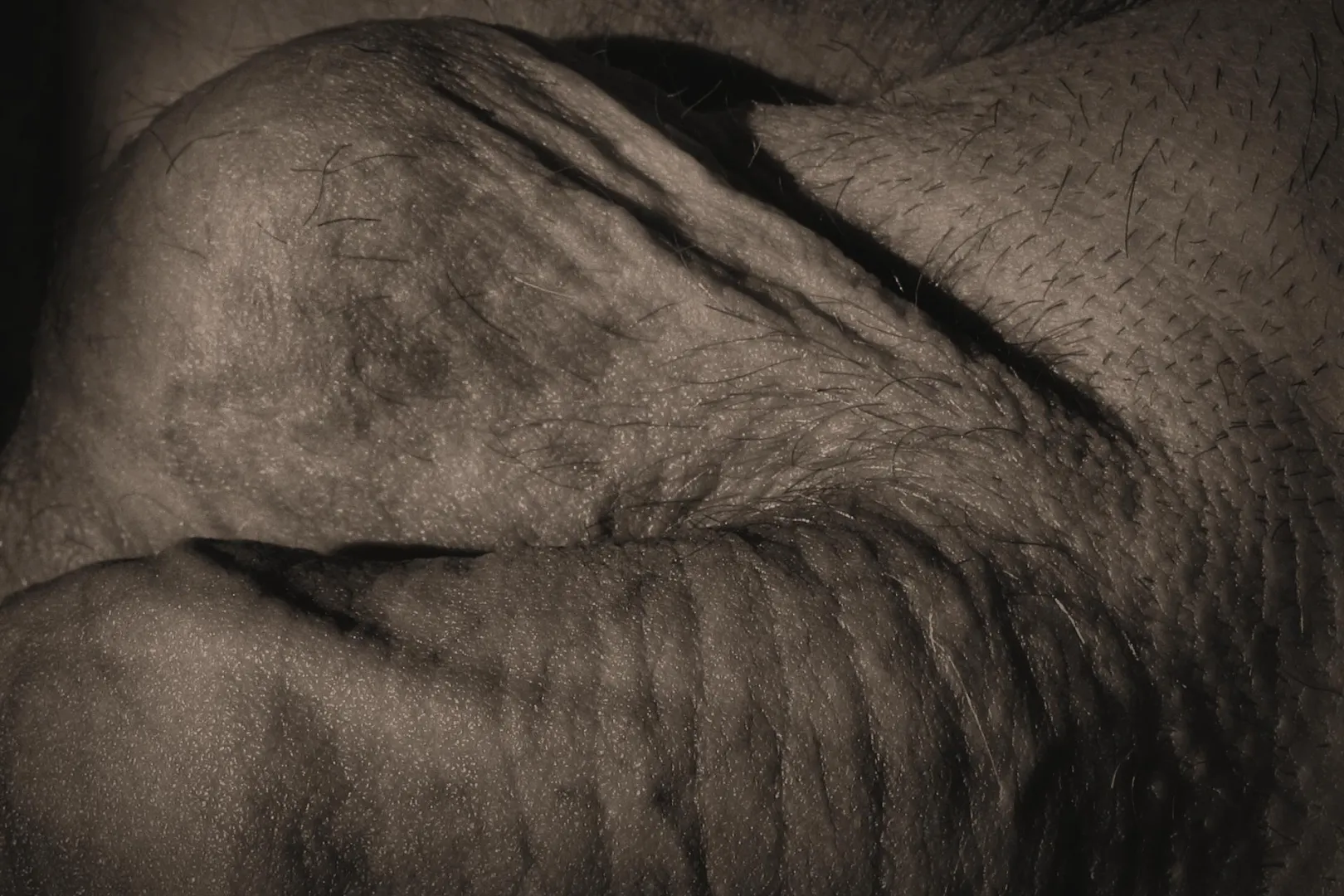 Wavescape posted by leolangrenus