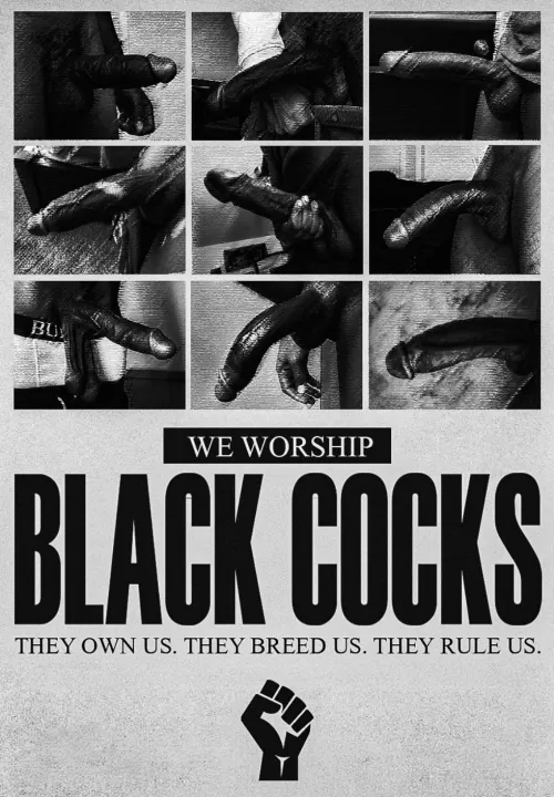 we all have to worship superior black cocks! by blackedbysofia