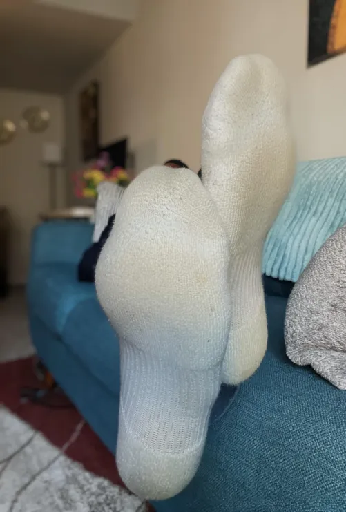 We all love white socks by nonyabeezwax12345678