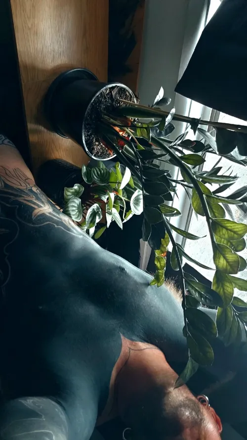 We all think today has been to hot by xplantxdaddyx