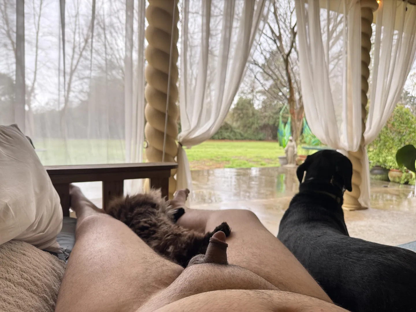 We are enjoying some rain posted by DesperateLow6341