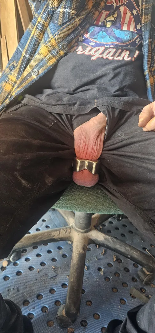 Weather's good in the uk for once, ive got a day off so im in my workshop letting the boys breathe posted by dry_mop