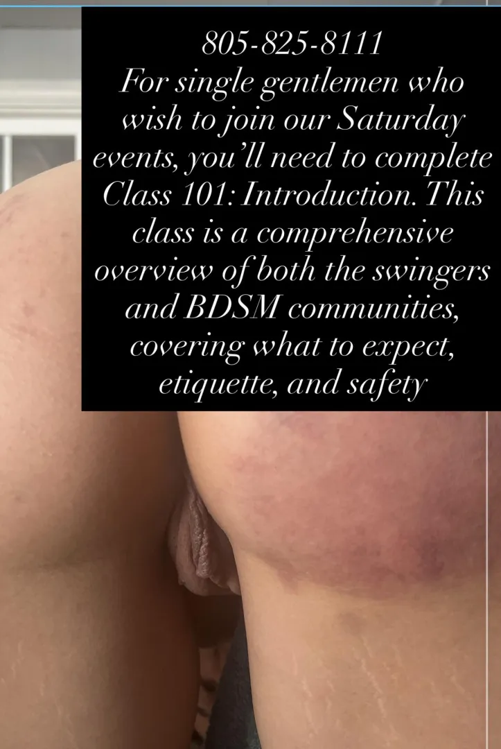 Wednesday night posted by Technical-Dress-8424