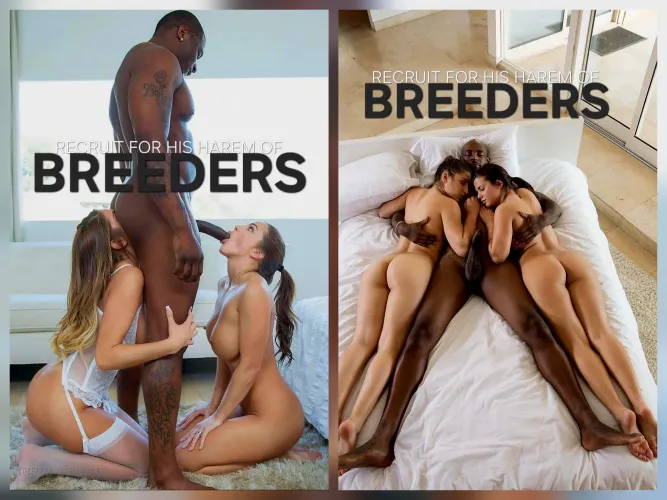 Welcome to my House of Bunnies! by MisterSpadeBBC