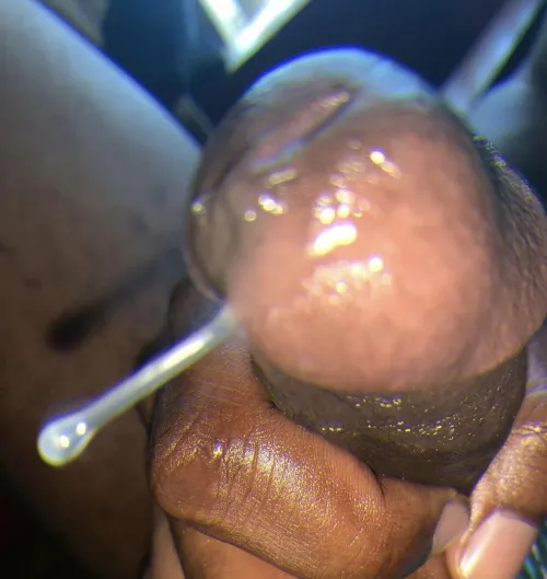 Welcome to the Bazooka breeding clinic!  I’ll be your bull for today  by BlkCherryBazooka