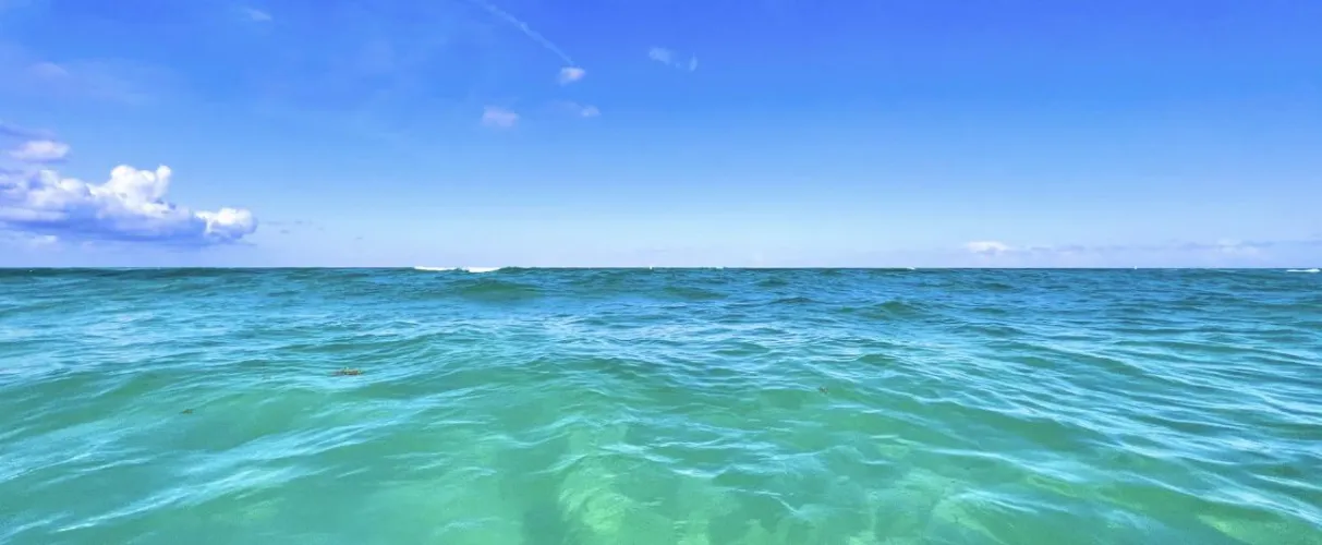 We’ll be down 3/17-3/22! Anyone else going to be around?? by PlayTexxxas